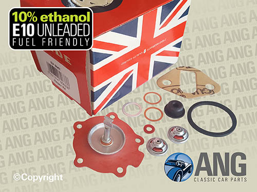 FUEL PUMP REPAIR KIT (E10 COMPLIANT) ; MIDGET 1500