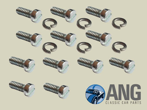 DASH POT, CARBURETTOR FLOAT CHAMBER SCREWS (12) ; DOLOMITE 1500HL, 1500TC