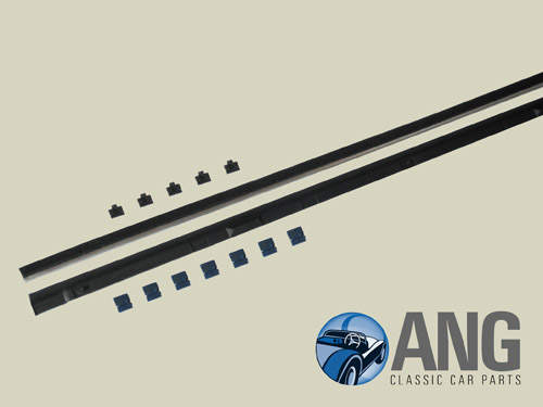 DOOR DROP GLASS INNER & OUTER SEALS + CLIPS KIT ; GT6